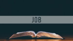 Job 1